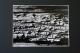 morsches Holz analog SW Foto -  Rezlodnas -  auf Holz-Glas - Sonstiges - 