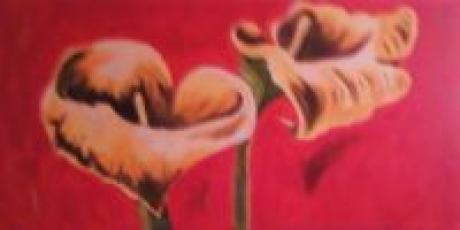 calla - bertram - Array auf Array - Array - calla - bertram - Array auf Array - Array -