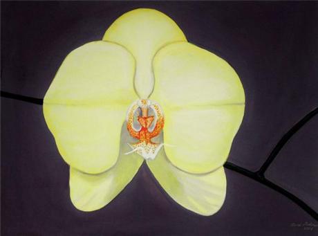 Gelbe Orchidee - Nixe - Array auf Array - Array - Array Gelbe Orchidee - Nixe - Array auf Array - Array - Array