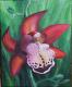Annemaries Orchid Annemaries Orchid