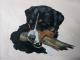 Mein Hund apportiert - Georg  Rataj - Acryl auf Leinwand - Hunde - Realismus