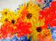 POWER FLOWERS - wanda spirit - Sonstiges auf Leinwand - Sonnenblumen - Realismus