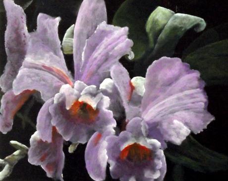 Orchidee - Geert Winkel - Array auf Array - - Array Orchidee - Geert Winkel - Array auf Array - - Array