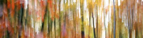 Indiansummer - Walter J. Pilsak - Array auf - Array - Indiansummer - Walter J. Pilsak - Array auf - Array -