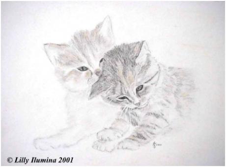 Katzenkinder (2000) von Lilly Ilumina - Lilly Ilumina - Array auf  - Array - 