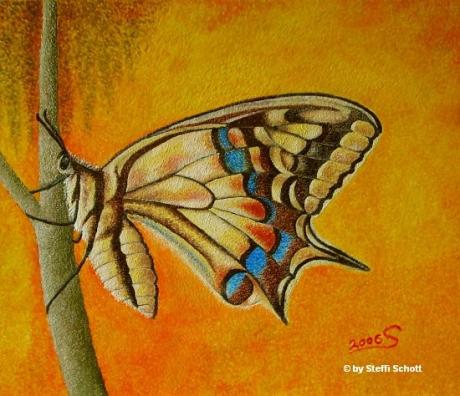 Schmetterling 1 (2006) - Steffi Schott -  auf Array - Array - 