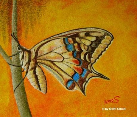 Schmetterling 1 (2006) - Steffi Schott - auf Array - Array - Schmetterling 1 (2006) - Steffi Schott - auf Array - Array -
