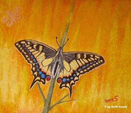 Schmetterling 2 (2006) - Steffi Schott -  auf Array - Array - 