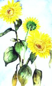 Sunflower 1 -Lutz Erler- - Lutz Erler -  auf  - Array - 