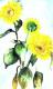 Sunflower 1 -Lutz Erler- - Lutz Erler -  auf  - Sonstiges-Sonnenblumen - 