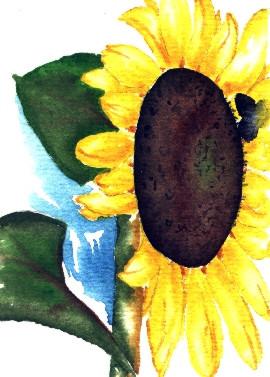 Sunflower 3 -Lutz Erler- - Lutz Erler - Array auf Array - Array - Sunflower 3 -Lutz Erler- - Lutz Erler - Array auf Array - Array -