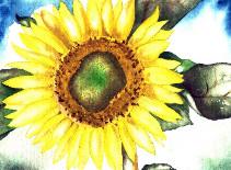 Sunflower 5 -Lutz Erler- - Lutz Erler - Array auf Array - Array - 