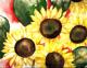 Sunflower 6 -Lutz Erler- - Lutz Erler - Aquarell auf Papier - Sonstiges - 