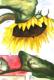 Sunflower vorm Haus -Lutz Erler- - Lutz Erler - Aquarell auf Papier - Sonstiges - 