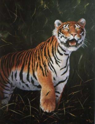Sibirischer Tiger - Wolfgang Rose - Array auf Array - Array - 