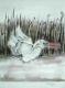 Eisvogel (1991) - Bergit Brandau - -  Brandau-Art - Aquarell auf Papier - Sonstiges - 