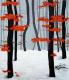 Winterbuchenwald Winterbuchenwald