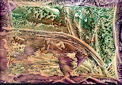 Düsterer Wald, Encaustic Nr.6 (2003)-Tan- - Tan - auf Array - Array - Düsterer Wald, Encaustic Nr.6 (2003)-Tan- - Tan - auf Array - Array -
