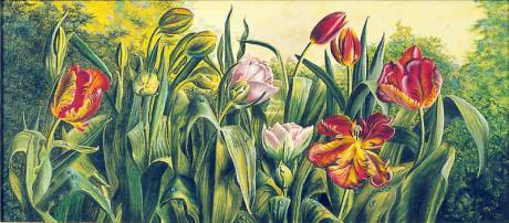 Tulpenbeet (Mittelbild aus drei Bildern) (2002) Ch - Christine Becker - Array auf Array - Array - Tulpenbeet (Mittelbild aus drei Bildern) (2002) Ch - Christine Becker - Array auf Array - Array -