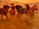 Stampede (2003) Astrid Schwarzkopf Stampede (2003) Astrid Schwarzkopf
