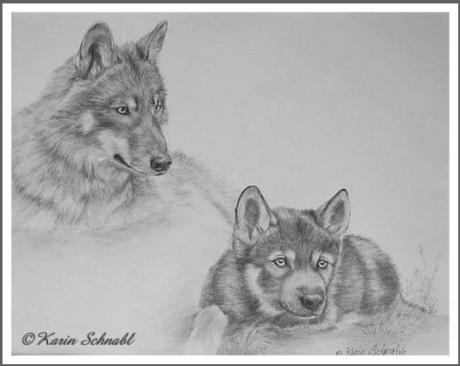 Wolf mit Welpe - Karin Schnabl -  auf  - Array - 