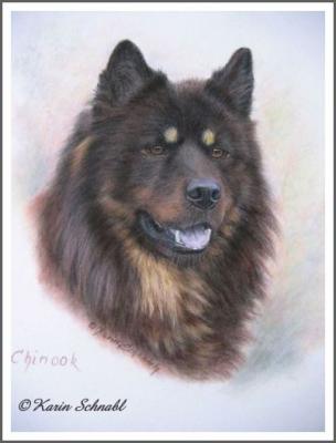 Eurasier CHINOOK - Karin Schnabl - Array auf  - Array - 