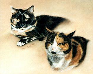Katzen-Duo - Karin Schnabl - Karin Schnabl - Array auf Array - Array - Katzen-Duo - Karin Schnabl - Karin Schnabl - Array auf Array - Array -