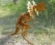 Design 3D-Puzzle Dilopho Design 3D-Puzzle Dilopho