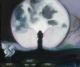 Vollmond Vollmond