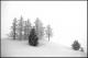 Winter - Norbert Felzl Winter - Norbert Felzl