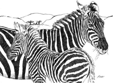 Zebras (2004) -Stefan Weber- - Stefan Weber - Array auf  - Array - 