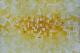 Das friedliche Bagdad (2002) Ingrid Maria Rheinfel - Ingrid Maria Rheinfels - Acryl auf Leinwand - Sonstiges - 