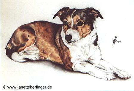 Mischlingshündin Brandy (2001) Janette Herlinger - Janette Herlinger - Array auf  - Array - 