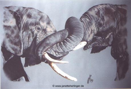 Zwei ringende Elefanten (1999) Janette Herlinger - Janette Herlinger - Array auf  - Array - 