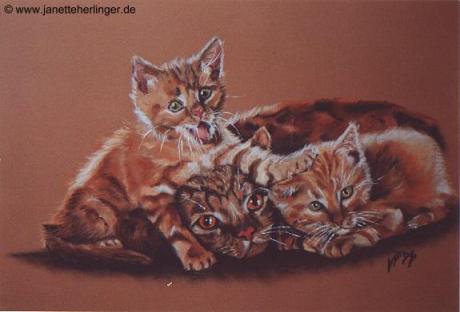 Rote Katzenfamilie (1994) Janette Herlinger - Janette Herlinger - Array auf Array - Array - 