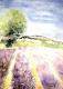 Lavendelfeld in der Provence (2003) Agnes Vonhoege - Agnes Vonhoegen - Aquarell auf Papier - Sonstiges - 