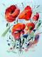 Red Poppies Full Bloom (2006) - Werner Meier - Aquarell auf Papier - Mohn-Stillleben - 