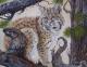 Luchs (2006) Luchs (2006)