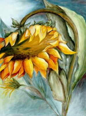 Sonnenblume (2007) - Isabel Bär - auf - Array - Sonnenblume (2007) - Isabel Bär - auf - Array -