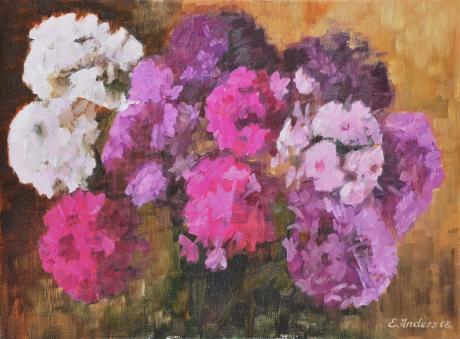 Phlox - Emma Anders - Array auf - Array - Phlox - Emma Anders - Array auf - Array -