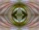 The Eye (2006) - Christine Gross -  auf  - Sonstiges - 