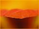 Wave (2006) - Christine Gross -  auf  - Sonstiges - 