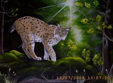 Luchs im Morgenlicht - Jana Seidler - Array auf Array - Array - Array Luchs im Morgenlicht - Jana Seidler - Array auf Array - Array - Array
