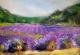 Der Duft des Lavendels - Ellen Fasthuber-Huemer - Ãl auf Leinwand - Landschaft - Impressionismus