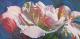 Yours flowers in my eyes #7 Yours flowers in my eyes #7