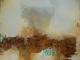 Rost 23 Rost 23