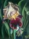 Iris - Maria Prachnau - Pastell auf Papier - Blumen - Fotorealismus