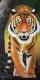 Tiger Tiger