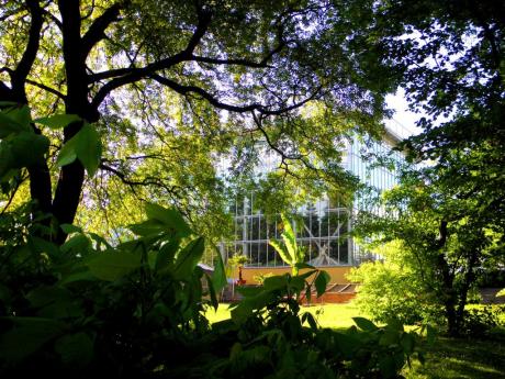 Im Botanischen Garten in Halle an der Saale  - Wolfgang Bergter - Array auf Array - Array - 
