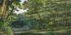 Innere Natur/ Abenddunst Innere Natur/ Abenddunst